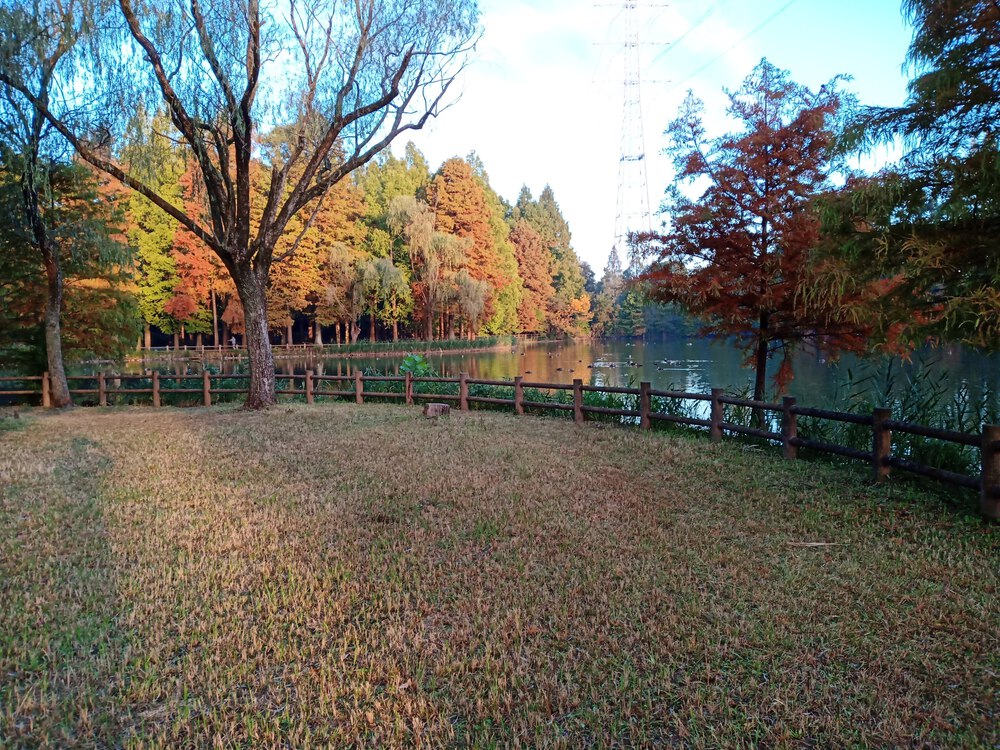 千葉県　柏の葉　柏ビレジ水辺公園の写真6