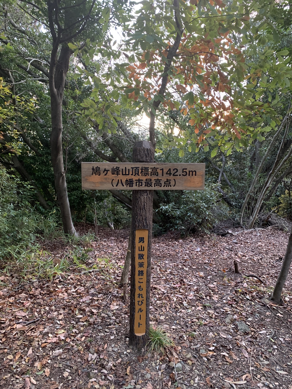 京都八幡　石清水八幡宮　男山鳩が峰山頂の写真3