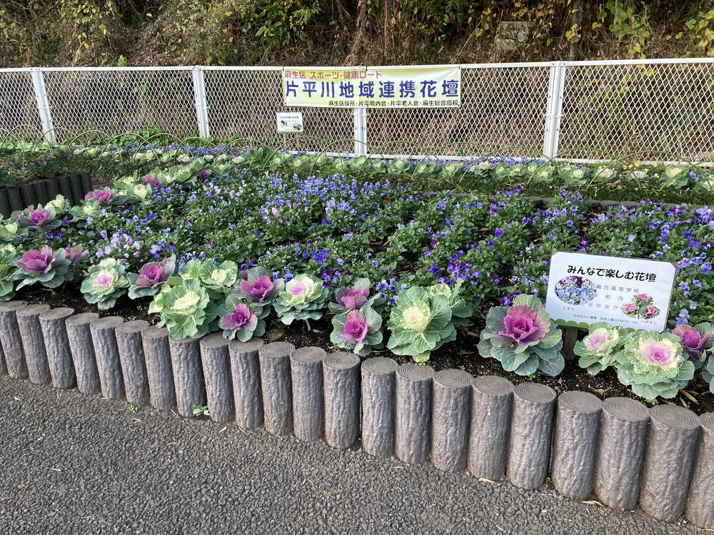 麻生区スポーツ・健康ロード（片平川）の写真6