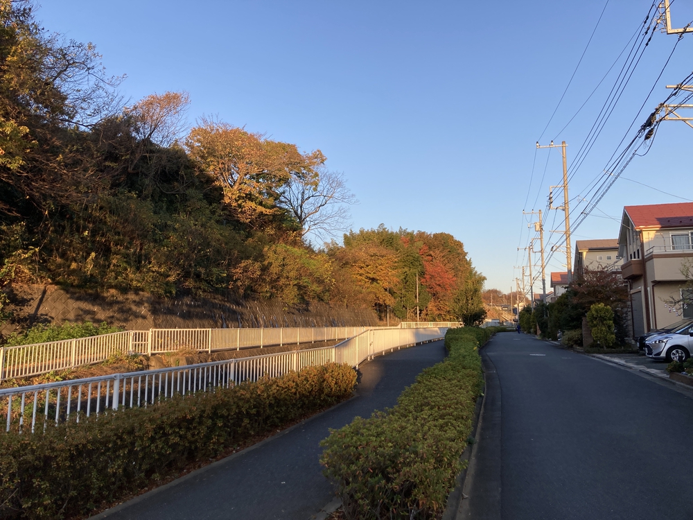 麻生区スポーツ・健康ロード（片平川）の写真8