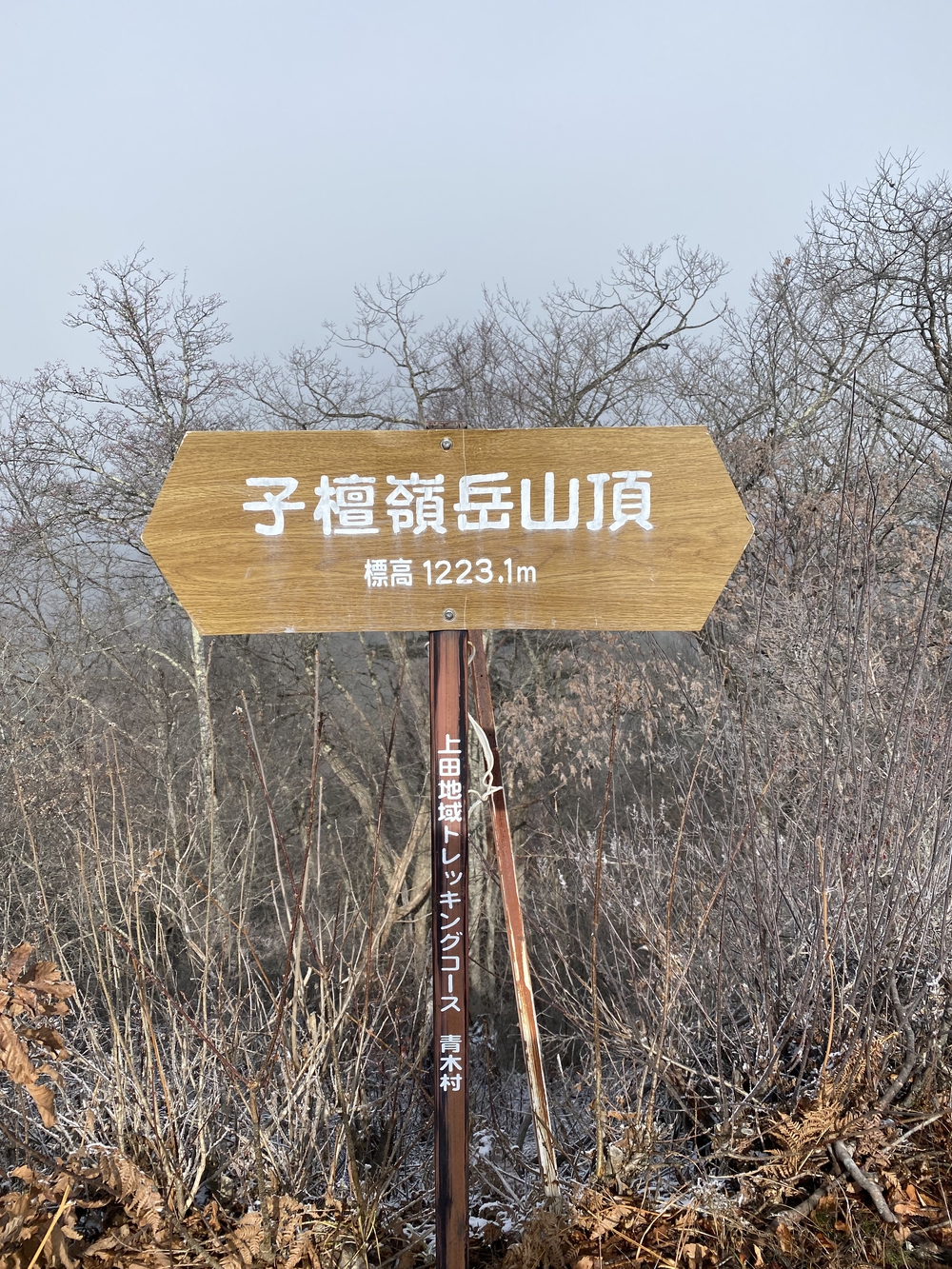 上田市  子壇嶺岳からの新蕎麦ランの写真8