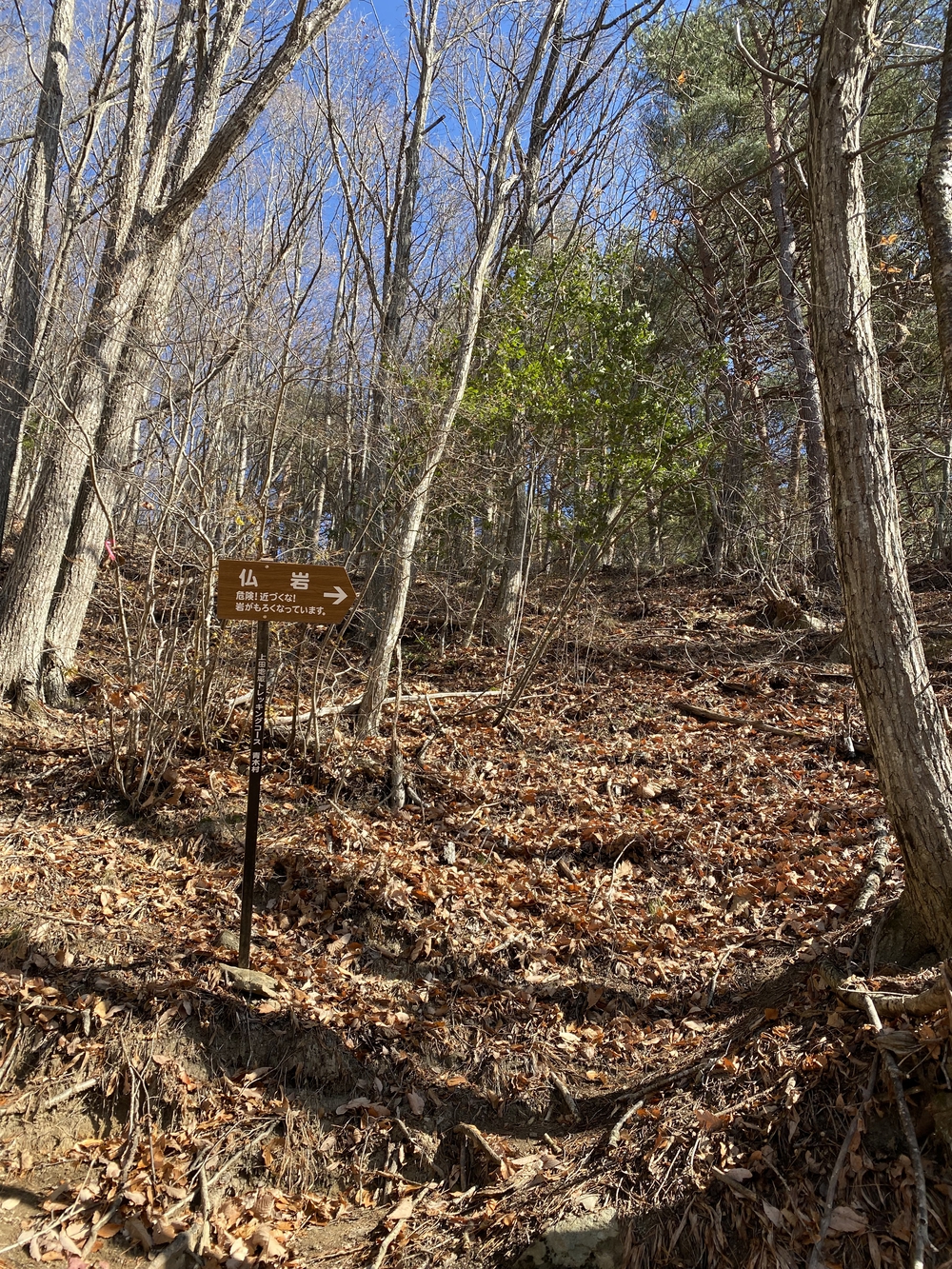 上田市  子壇嶺岳からの新蕎麦ランの写真10