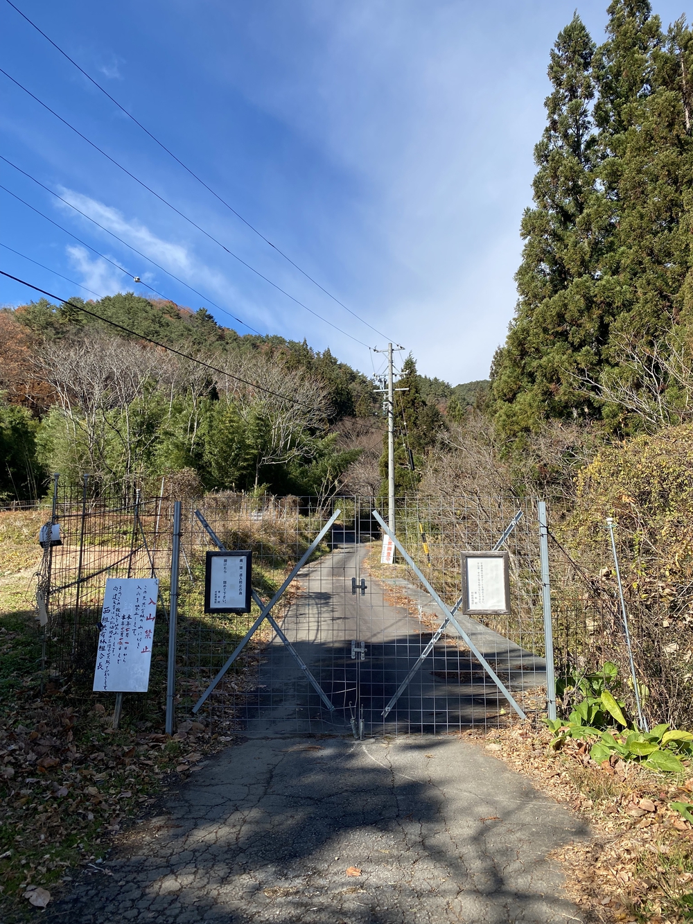 上田市  子壇嶺岳からの新蕎麦ランの写真11