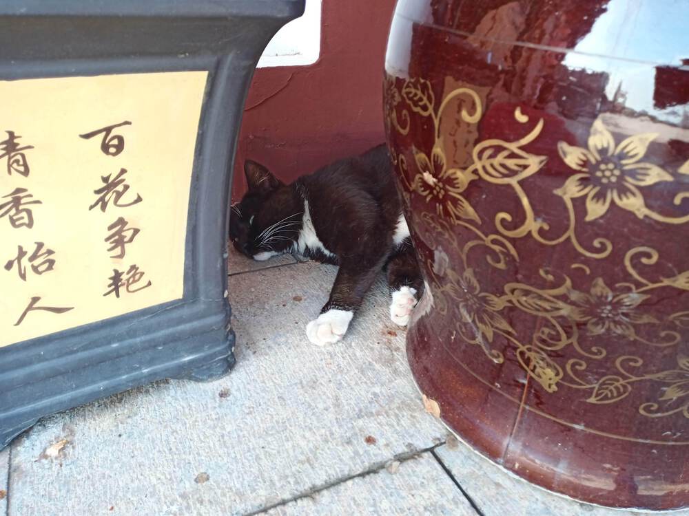 中国　徐州市　宝蓮寺訪問の写真12