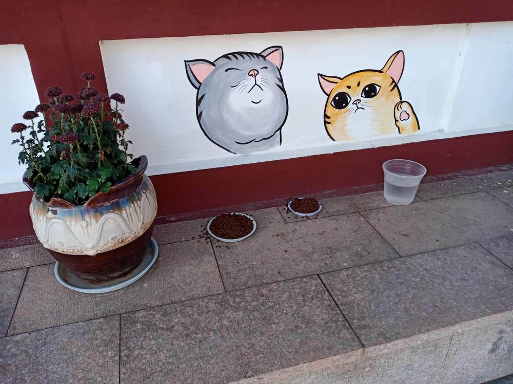 中国　徐州市　宝蓮寺訪問の写真13