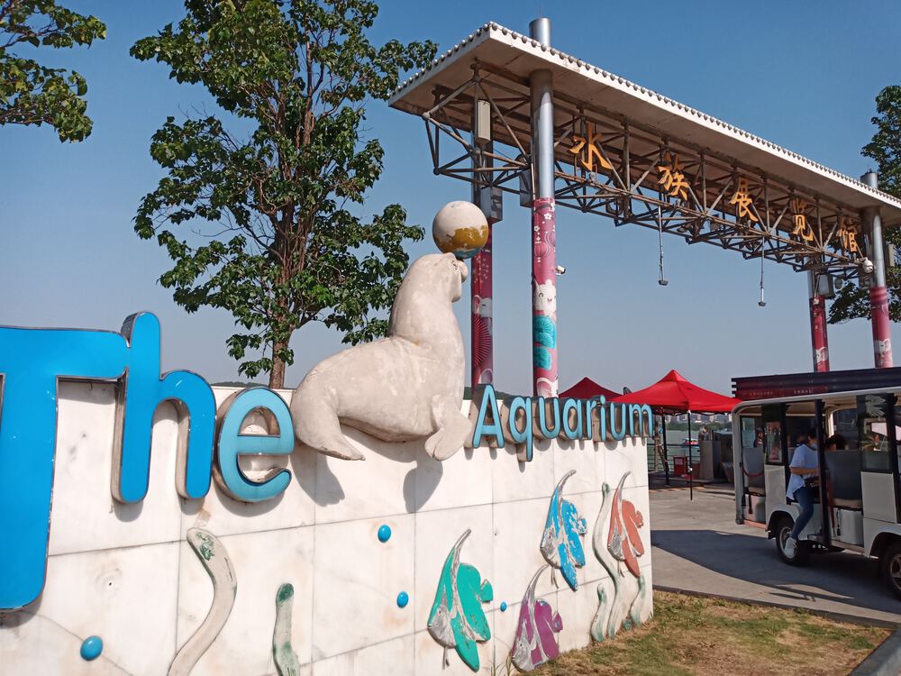 中国　徐州市　雲龍湖RUNの写真14