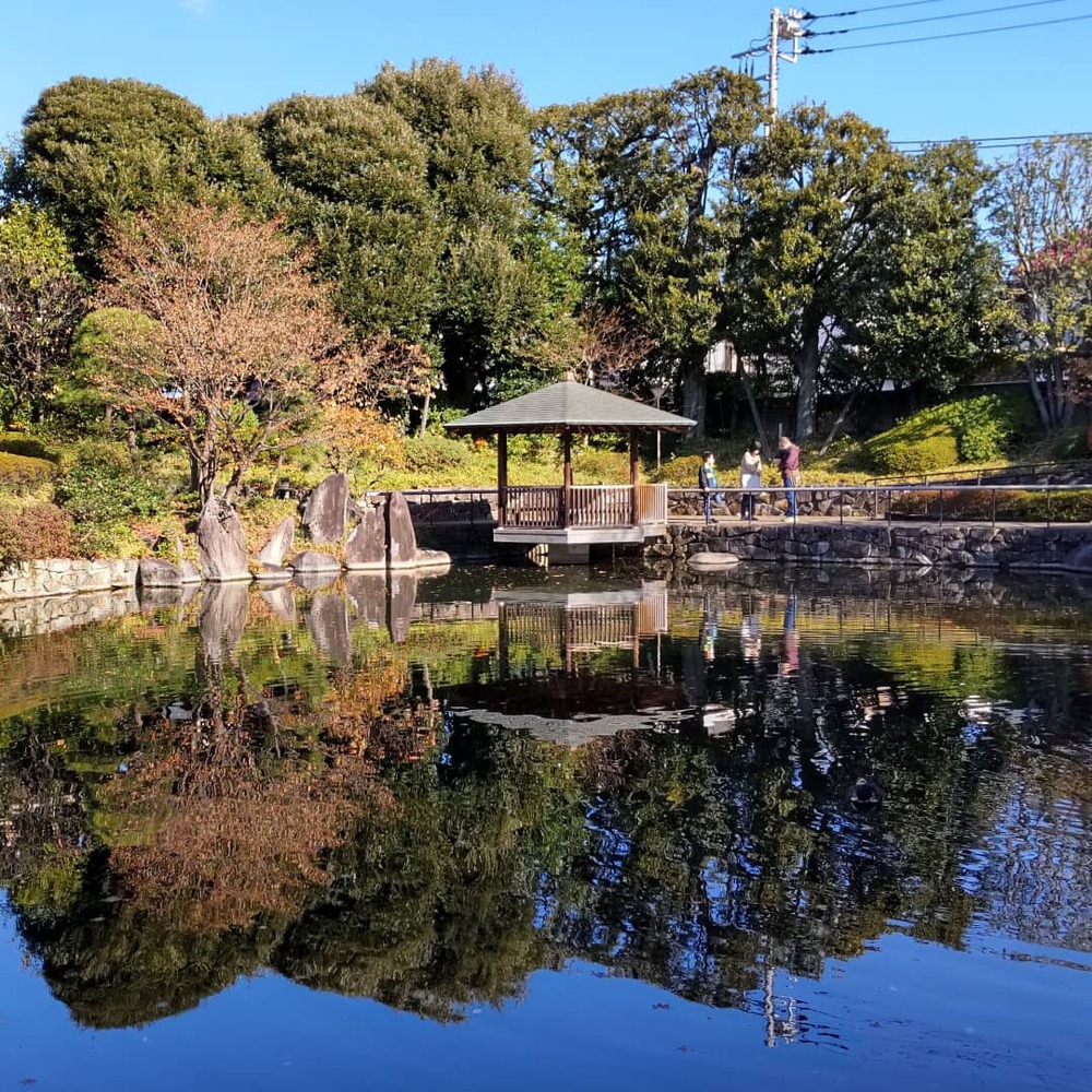 都内紅葉Run！の写真4