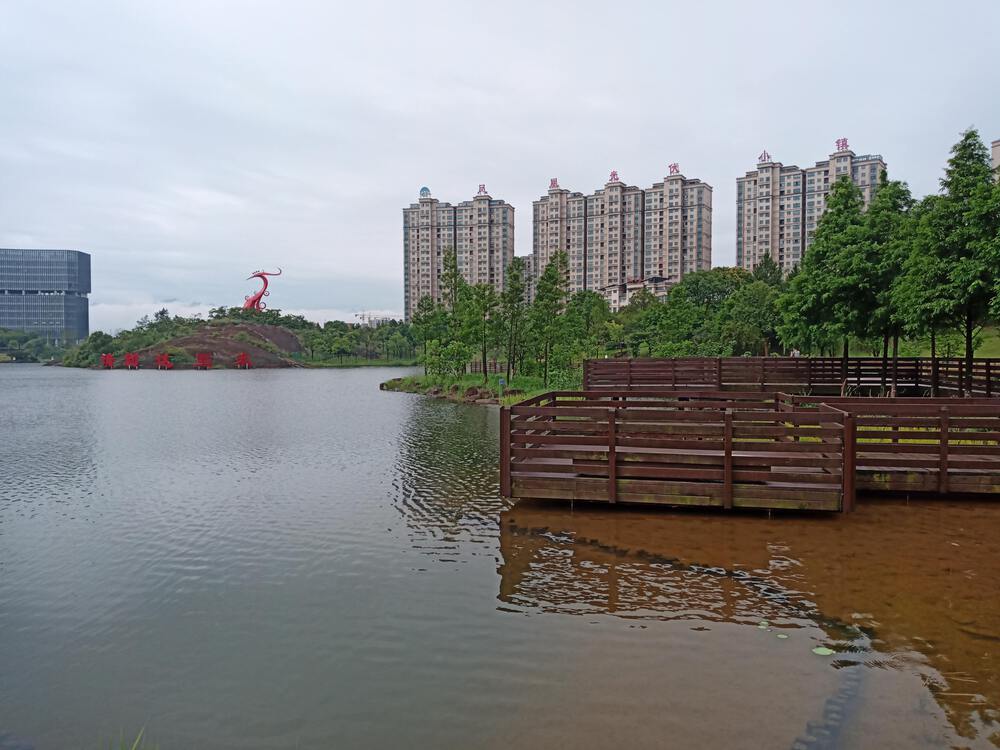 中国　衢州市　凤凰湖公园１周の写真6