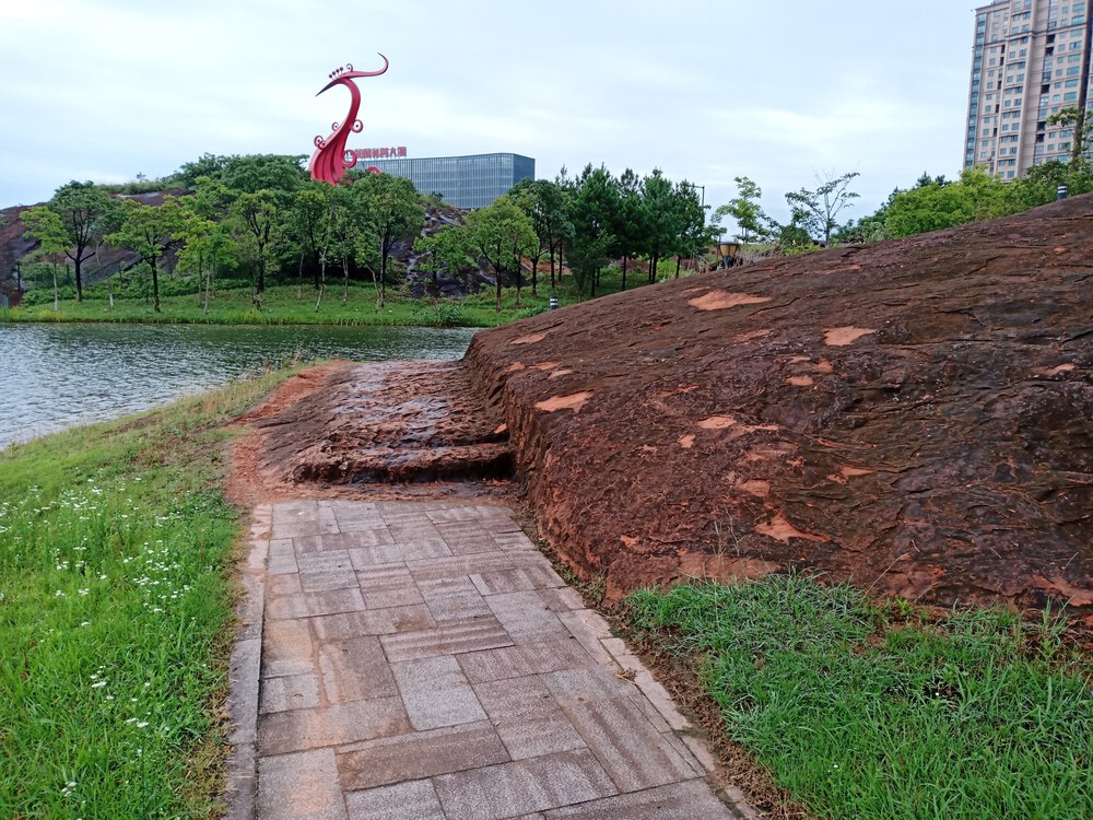 中国　衢州市　凤凰湖公园１周の写真7