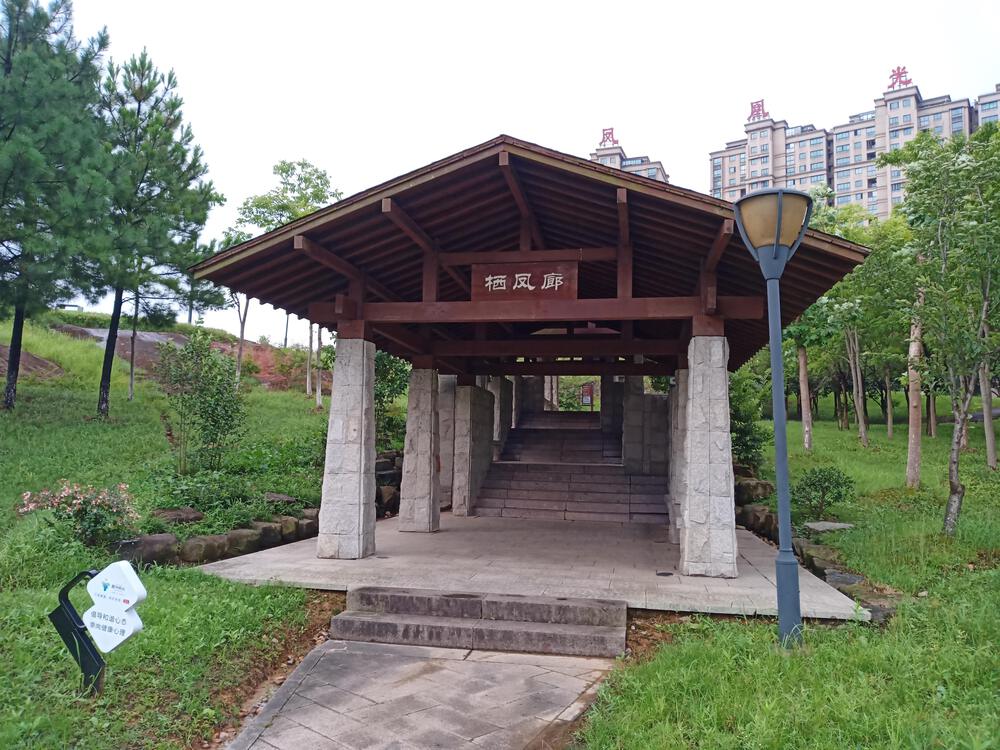 中国　衢州市　凤凰湖公园１周の写真8