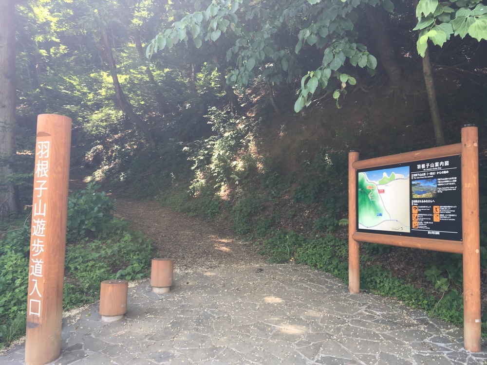 プチＵＴＭＦ！竜宮洞穴で暑さを凌ごう！！富士山麓トレイルの写真3