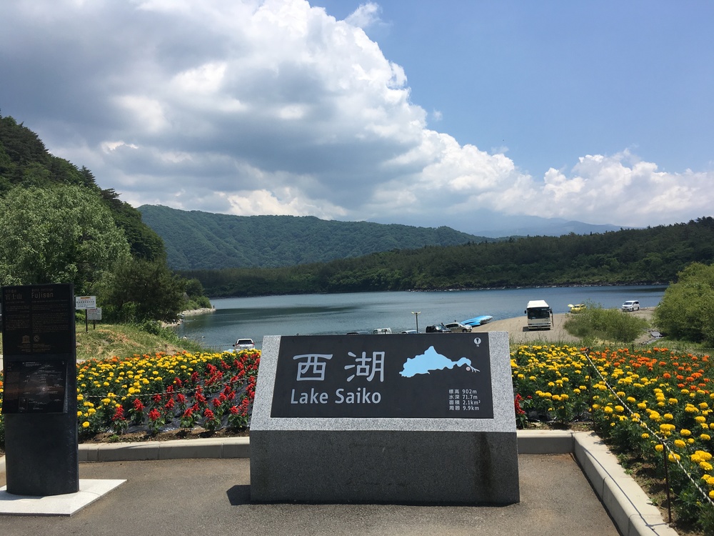 プチＵＴＭＦ！竜宮洞穴で暑さを凌ごう！！富士山麓トレイルの写真8