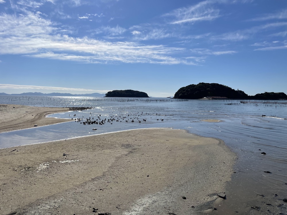 三河湾の美しい風景を楽しめるの写真6