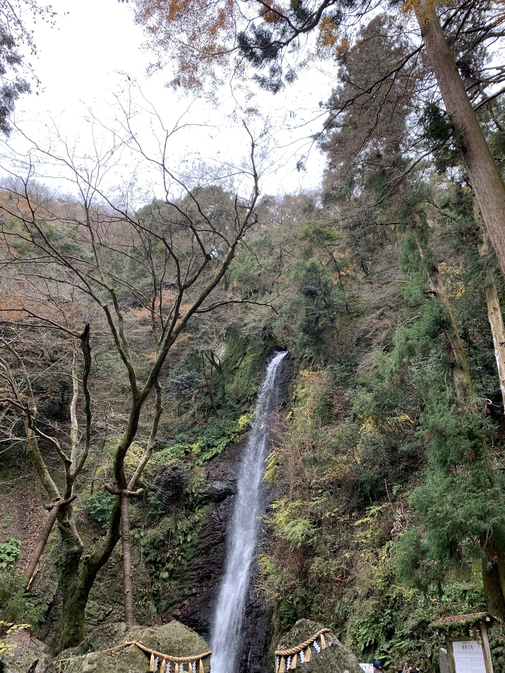 養老山脈トレイルレース41キロの写真11