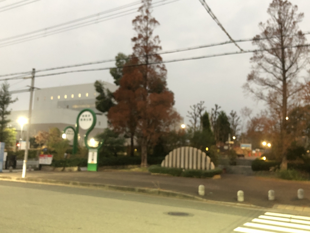 鳴尾浜温泉熊野の郷から臨海公園を経て武庫川団地を駆け巡る10km！の写真3