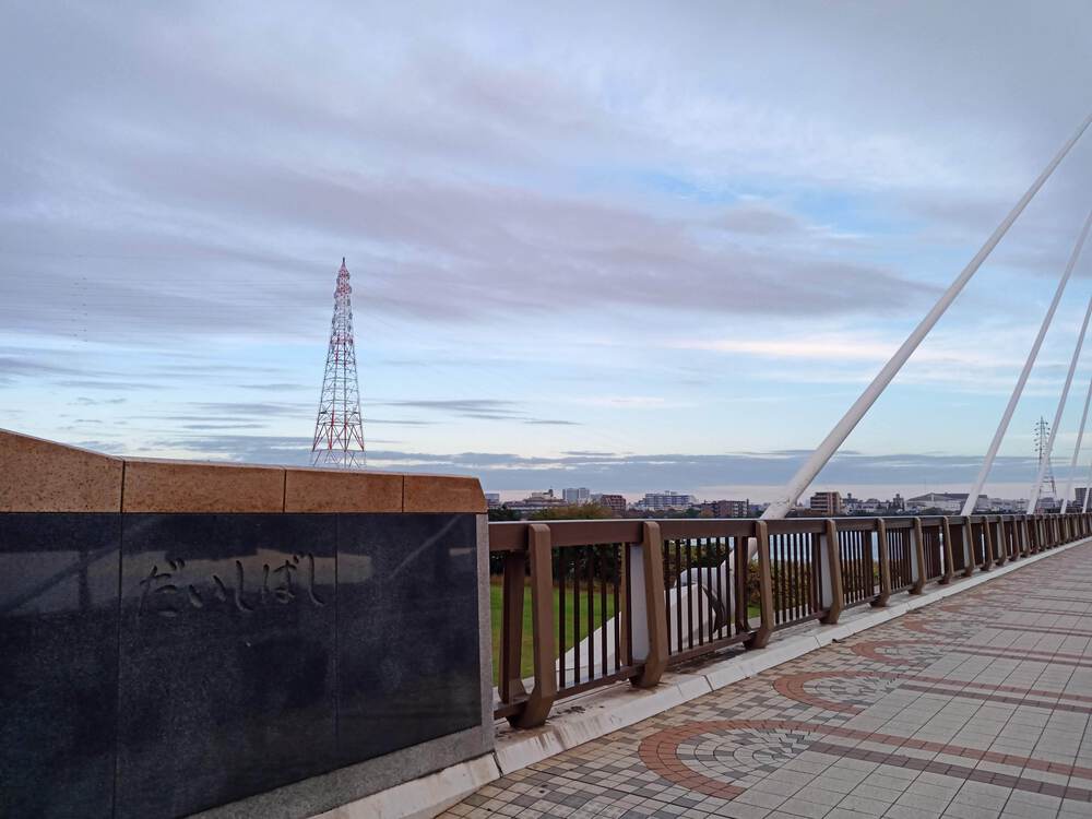 東京　羽田　多摩川河川敷ランの写真4