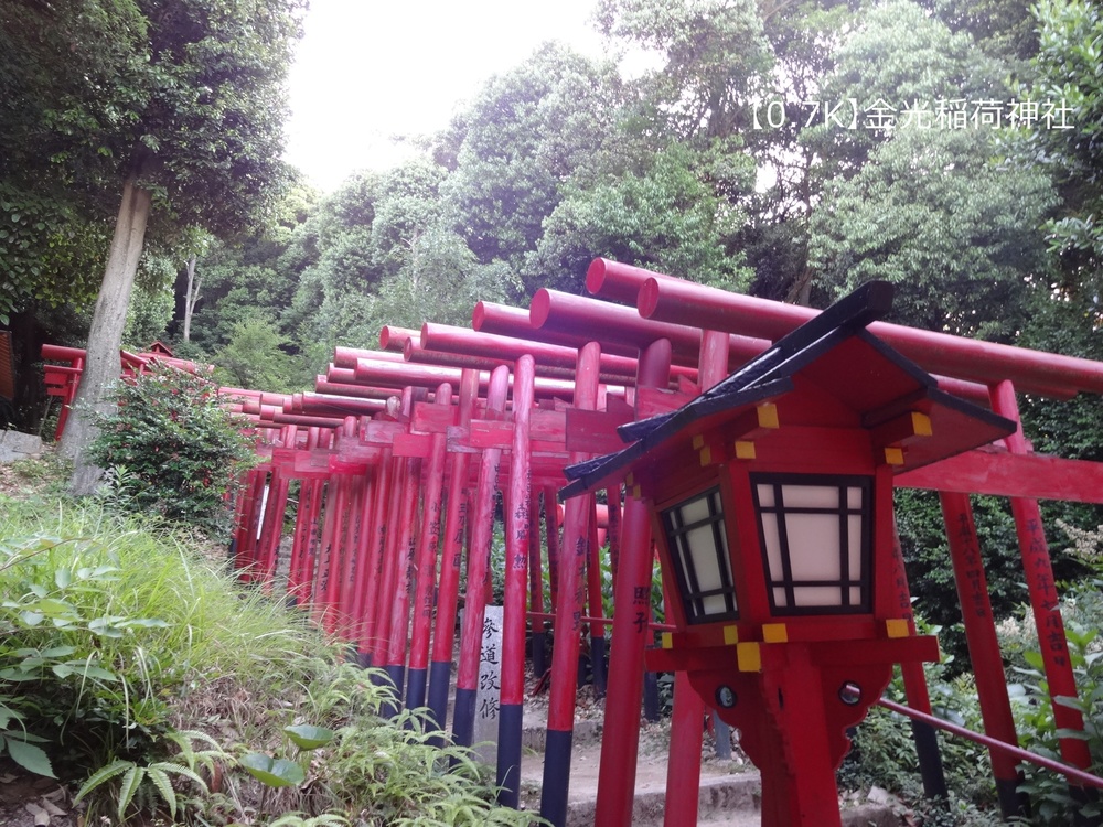 【トレイル10K】広島駅前の本格トレイル！牛田山周回コースの写真4