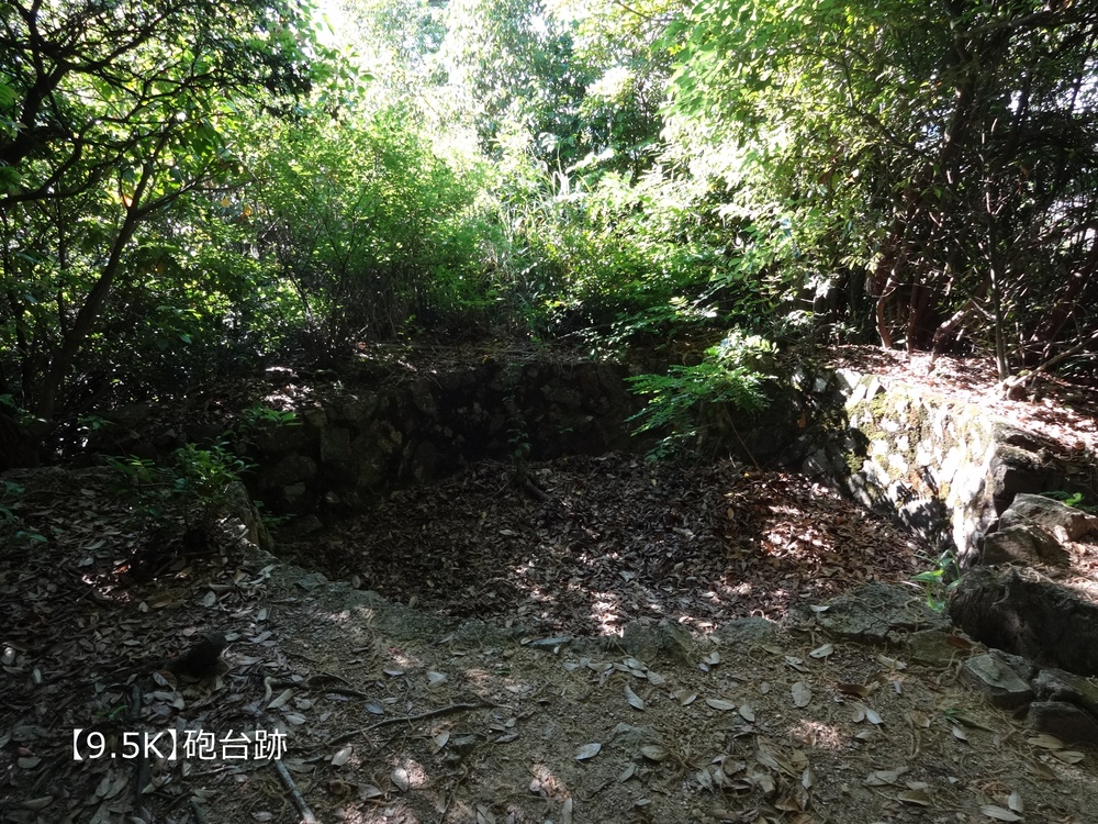【トレイル10K】広島駅前の本格トレイル！牛田山周回コースの写真14