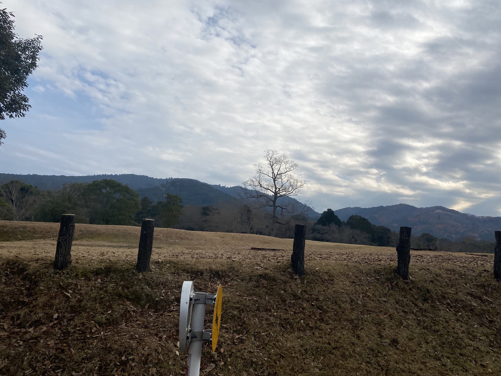 奈良マラソン2021のコースの写真16