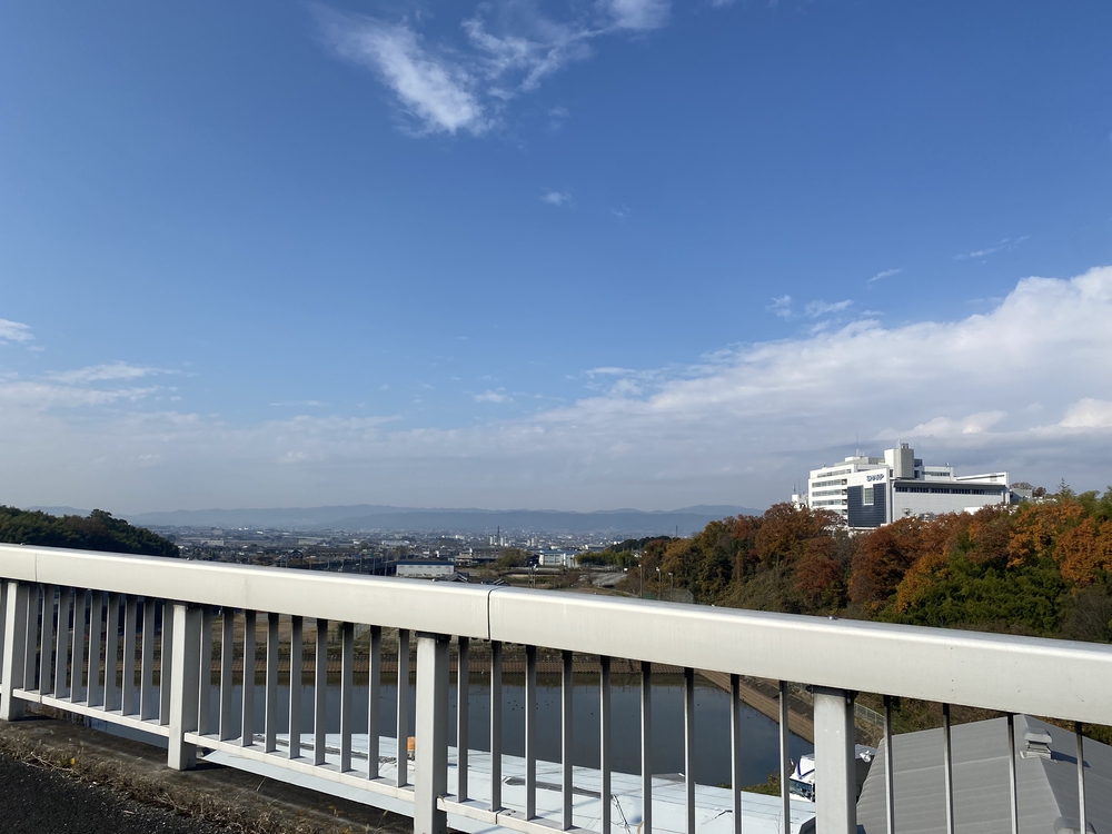 奈良マラソン2021のコースの写真19