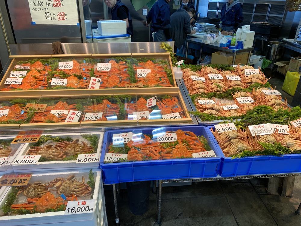 金沢の名所をコンパクトに周遊（仕事前に一走り）の写真6