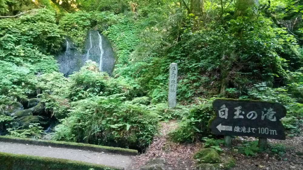 気軽に走れる菩提寺山トレランコースの写真4