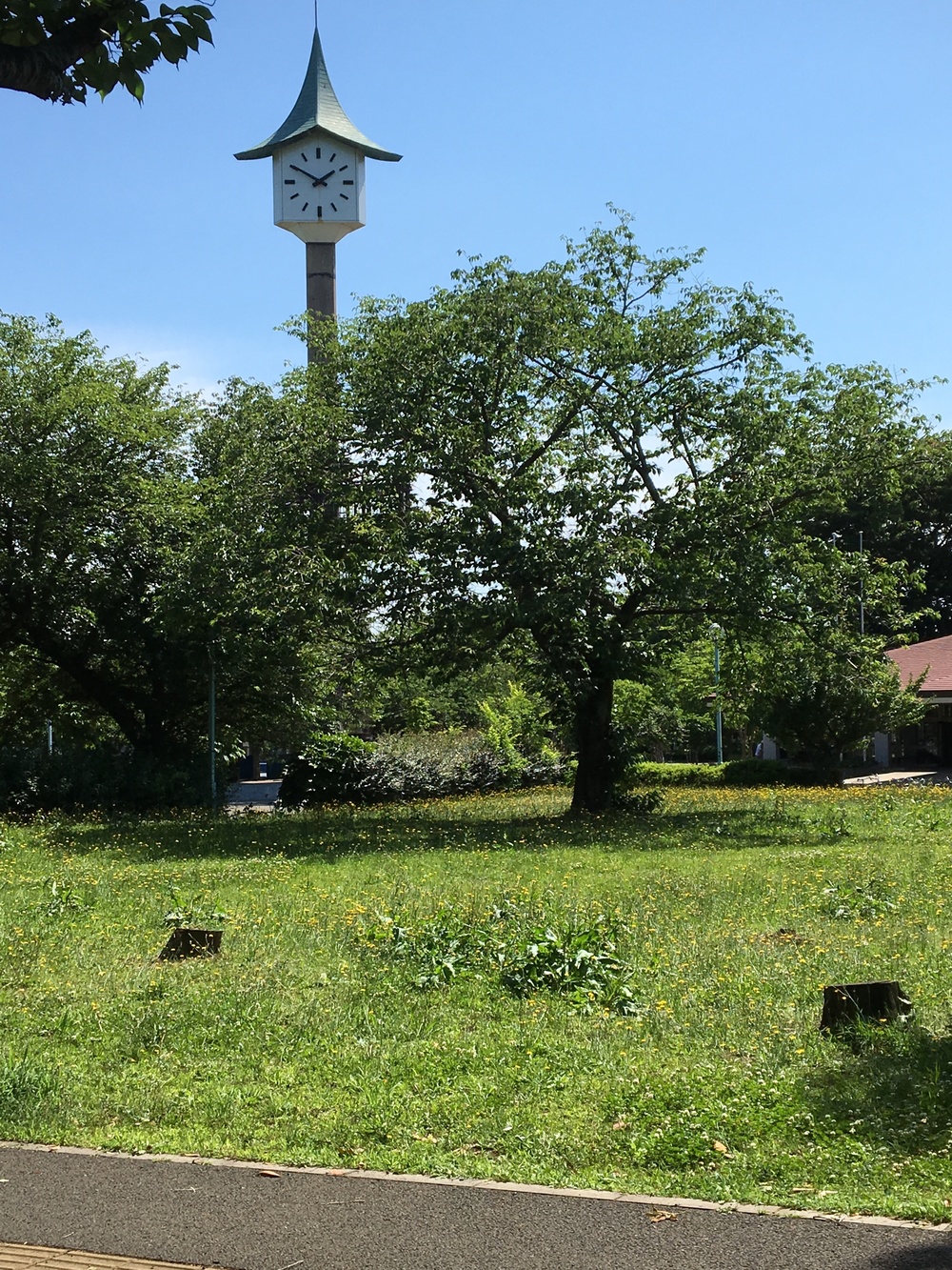 つくばペデストリアンデッキ　公園通りの写真3