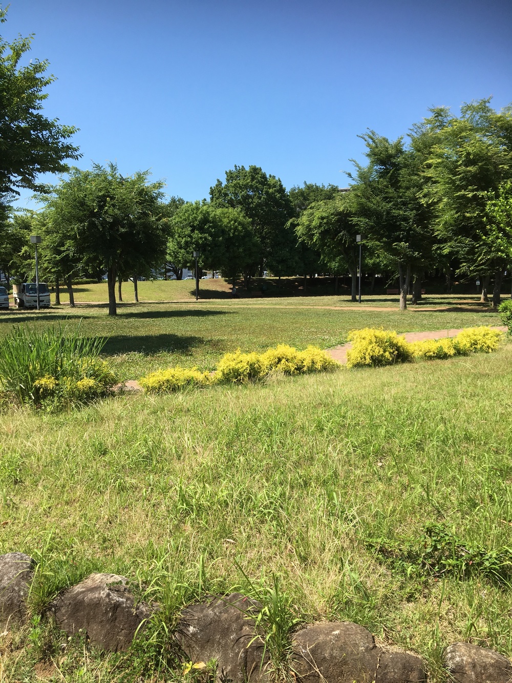 つくばペデストリアンデッキ　公園通りの写真4