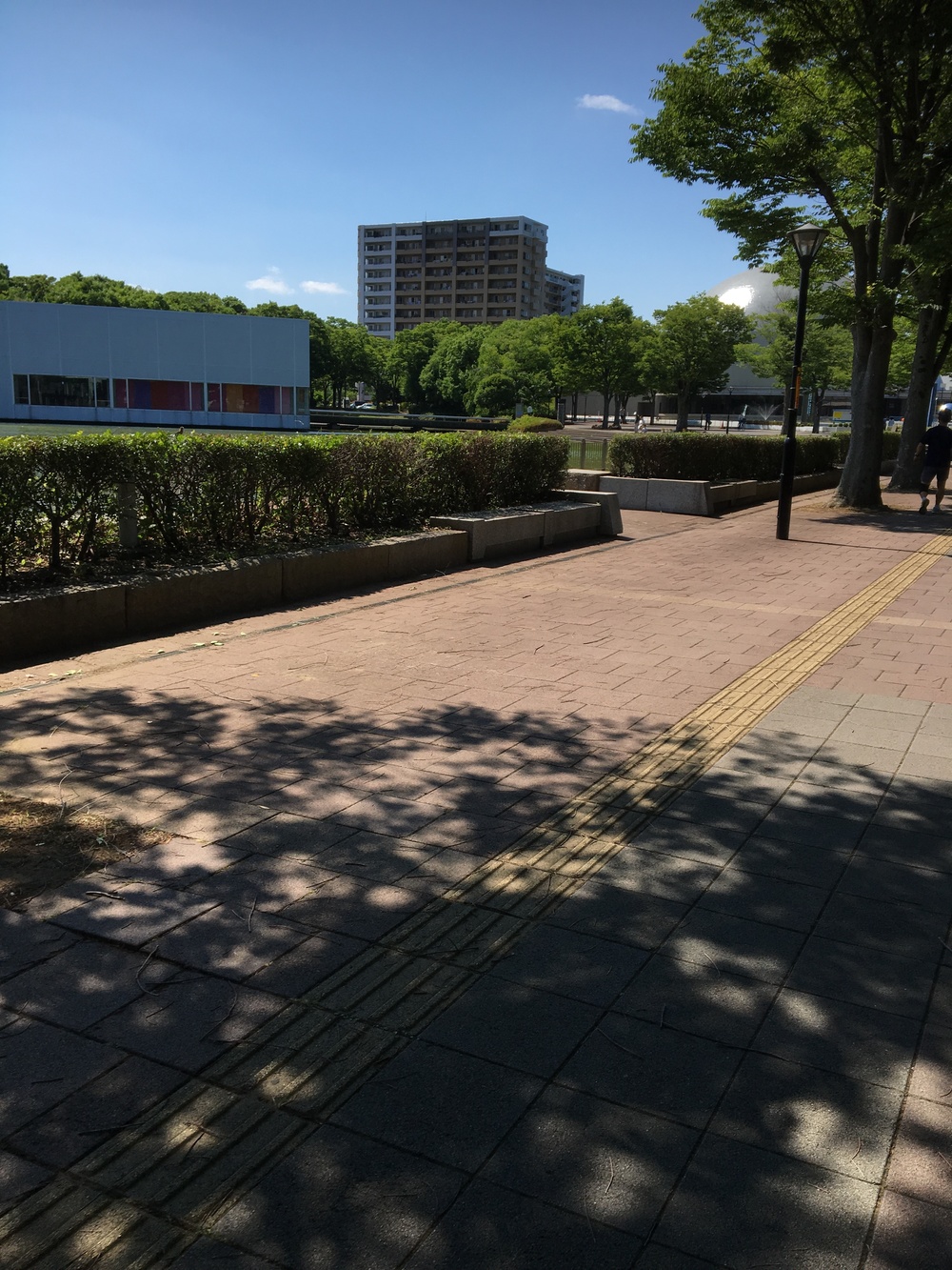 つくばペデストリアンデッキ　公園通りの写真5