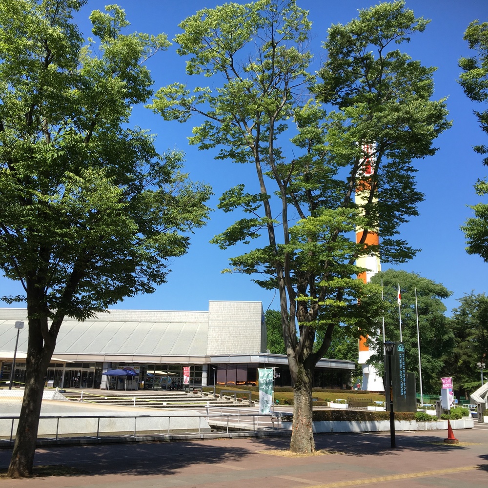 つくばペデストリアンデッキ　公園通りの写真6