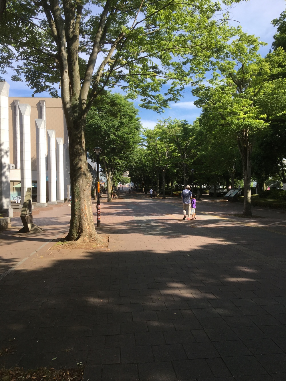 つくばペデストリアンデッキ　公園通りの写真8