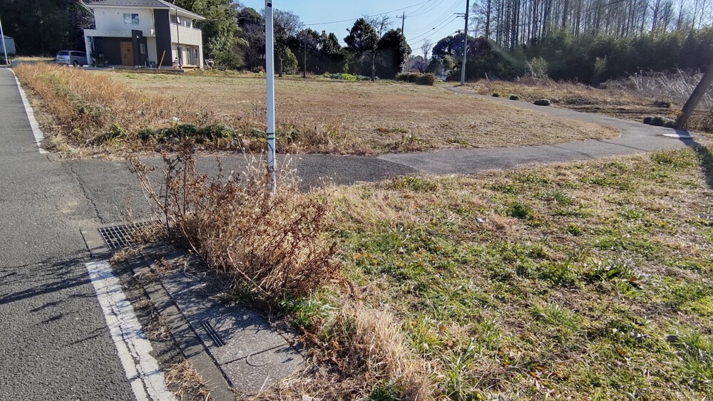 さいたま市のトナカイさんの写真3