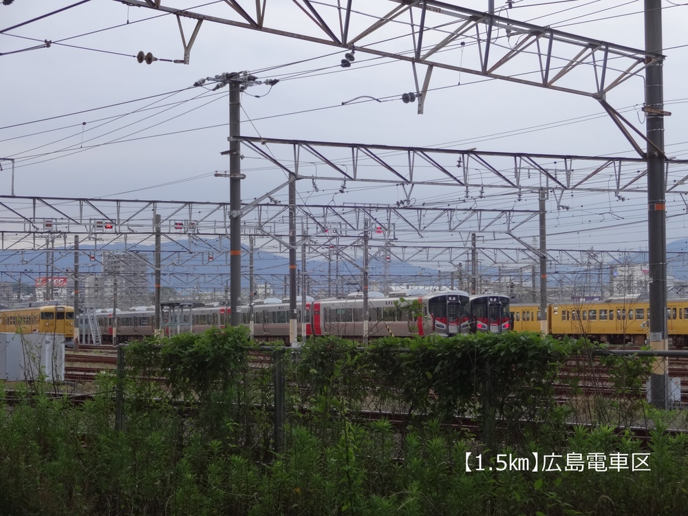 【ロード10K】広島の鉄道とカープを愛でる10㎞！の写真3