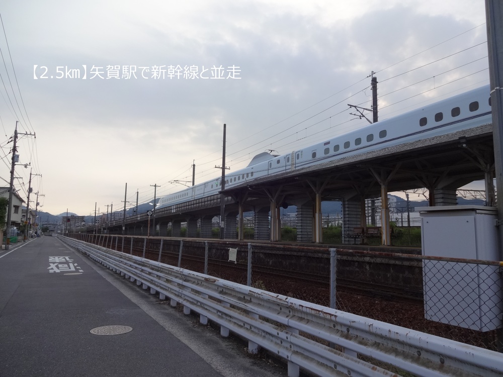 【ロード10K】広島の鉄道とカープを愛でる10㎞！の写真4