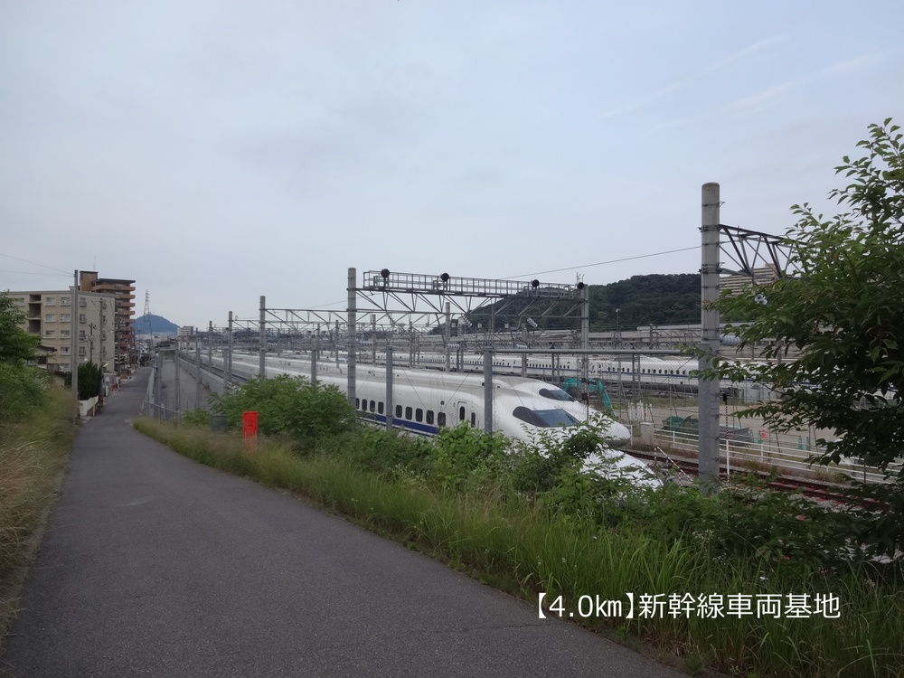 【ロード10K】広島の鉄道とカープを愛でる10㎞！の写真5