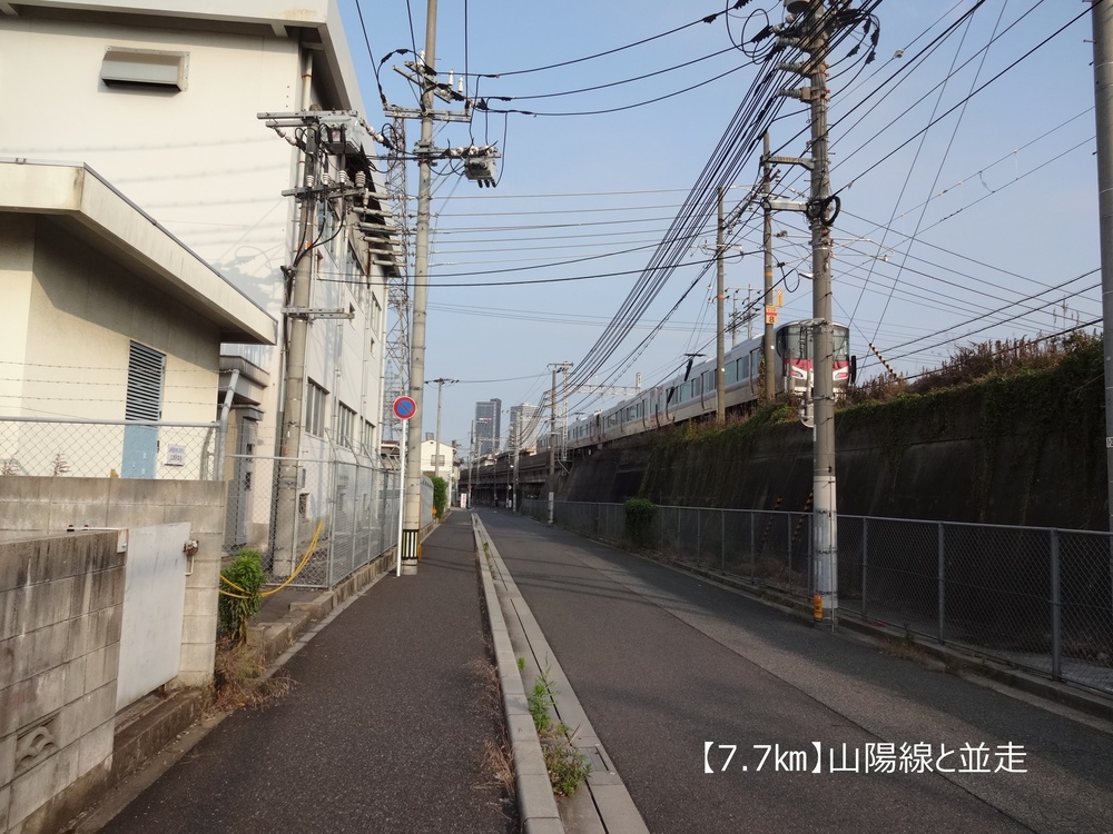 【ロード10K】広島の鉄道とカープを愛でる10㎞！の写真8