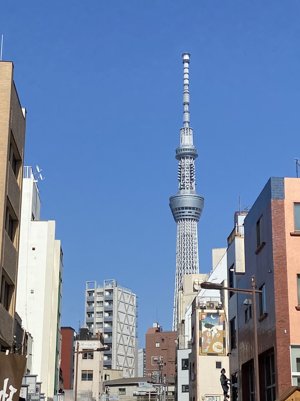 浅草で日本一周＋吾妻橋で五重の塔　19kmの写真5