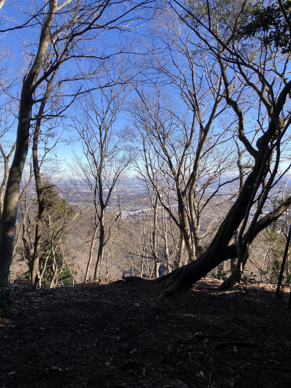 鶴巻温泉駅〜大山〜秦野駅の写真4