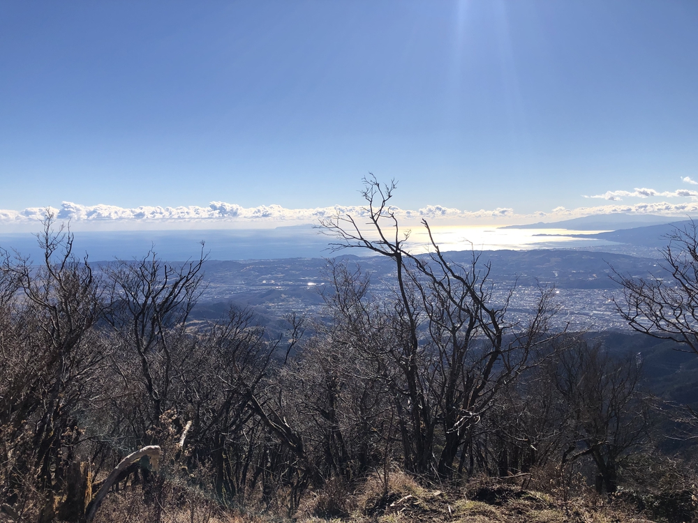 鶴巻温泉駅〜大山〜秦野駅の写真6