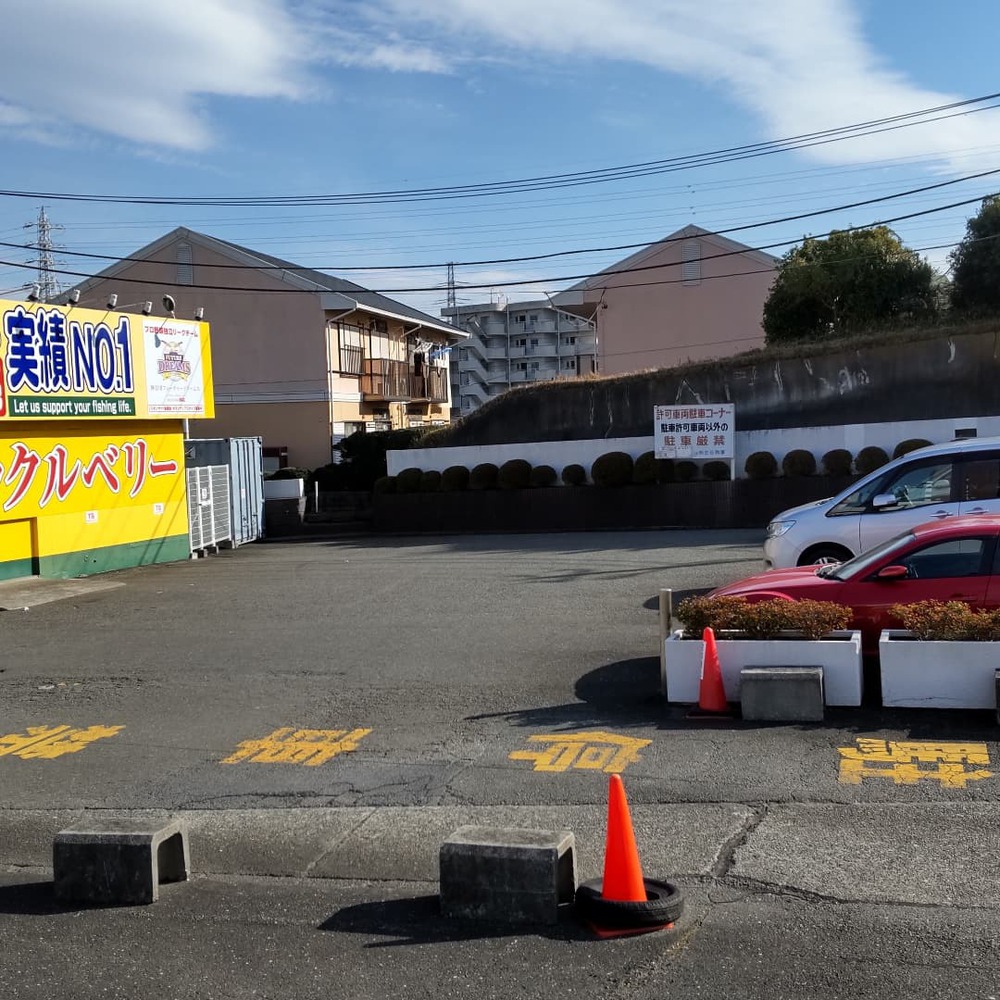 箱根花の２区！の写真6