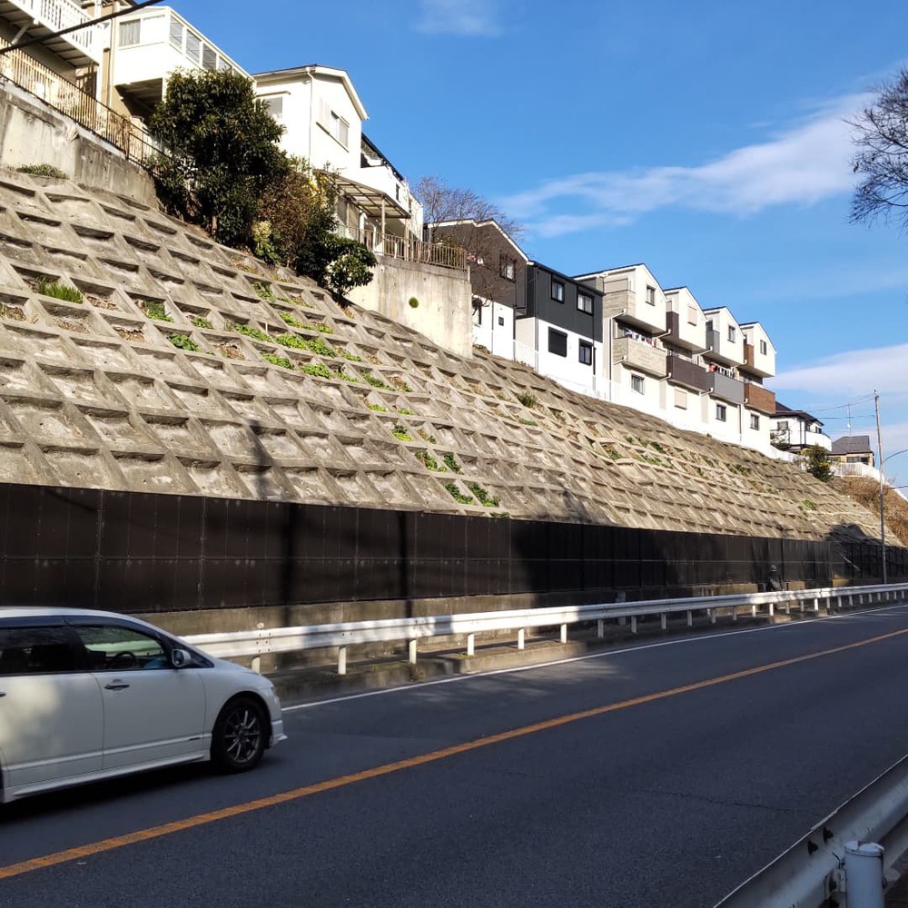 箱根花の２区！の写真7