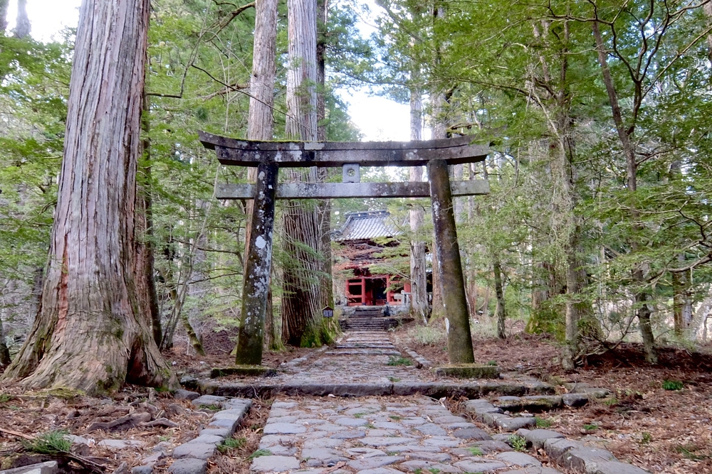 日光杉並木（日光例幣使街道・日光街道）の写真9