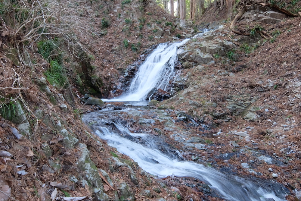 日光杉並木（日光例幣使街道・日光街道）の写真10
