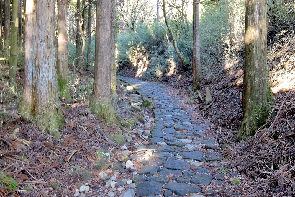 箱根旧街道（旧東海道 小田原宿〜三島宿）の写真3