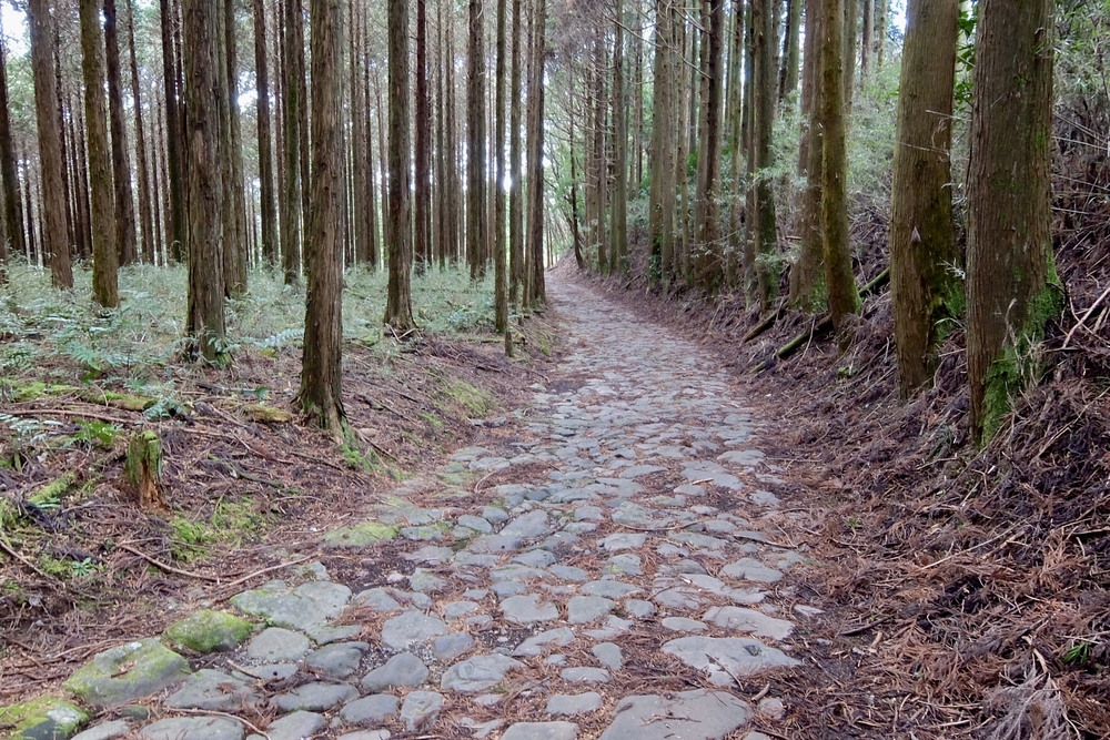 箱根旧街道（旧東海道 小田原宿〜三島宿）の写真4