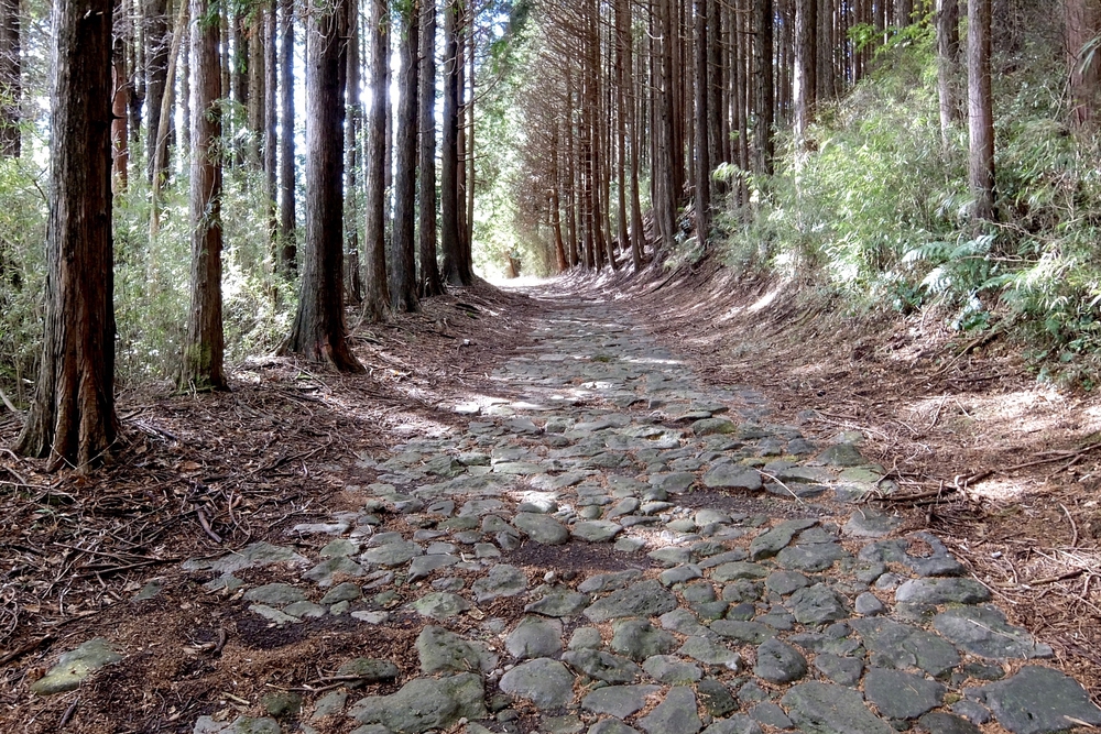 箱根旧街道（旧東海道 小田原宿〜三島宿）の写真5