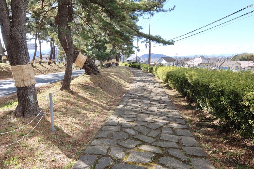 箱根旧街道（旧東海道 小田原宿〜三島宿）の写真10