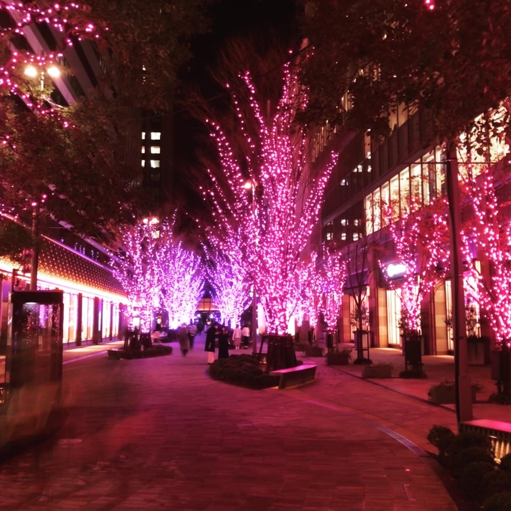 東京イルミネーションランニングの写真4