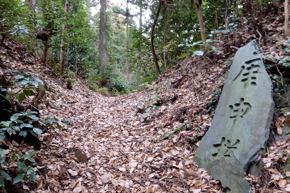 秩父〜高崎　参詣の道の写真6