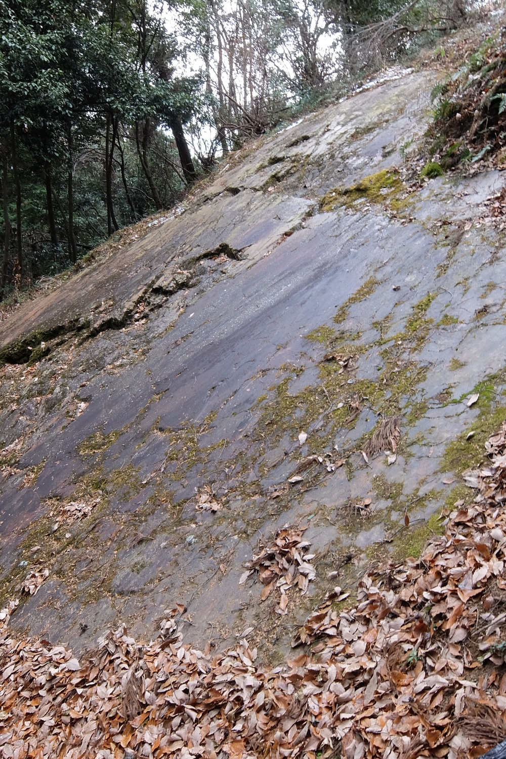 秩父〜高崎　参詣の道の写真7